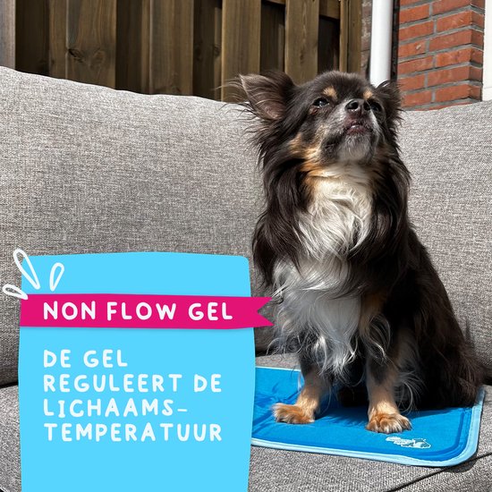 CoolPaws™ – Extra Groot, Duurzaam en Comfortabel voor Zomer & Warm Weer
