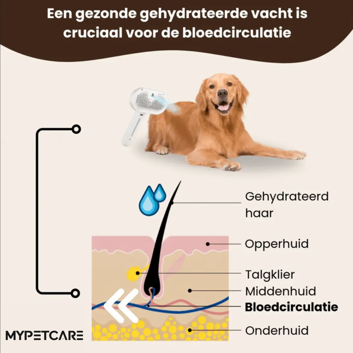 MyPetCare™ FluffyCare PRO – Elektrische Stoomborstel & Massagekam voor Honden & Katten