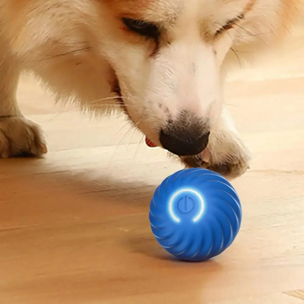 BounceBuddy™ – Het Ultieme Speelmaatje voor je Hond!