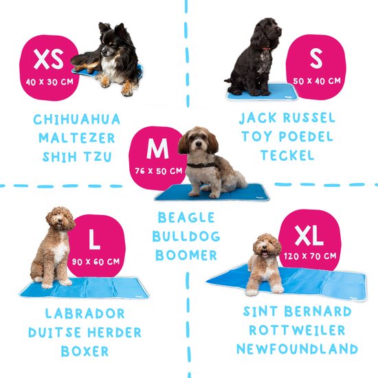 CoolPaws™ – Extra Groot, Duurzaam en Comfortabel voor Zomer & Warm Weer